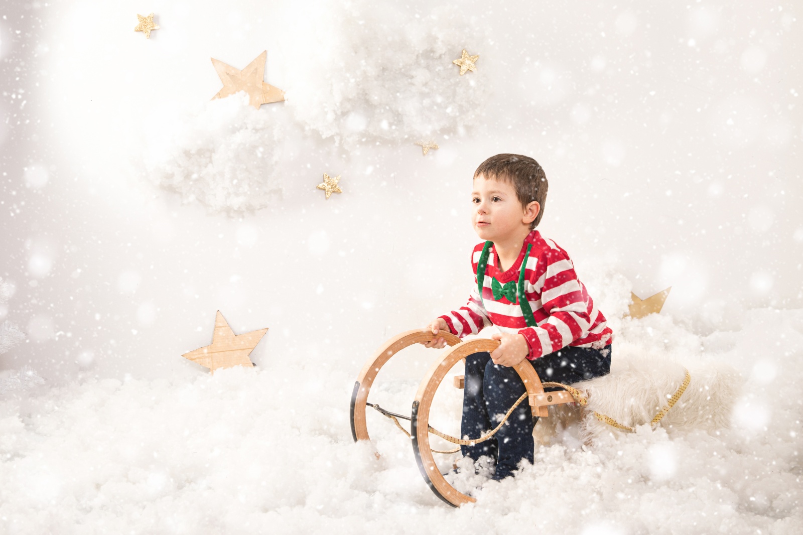 Craciun Elena P  MG 3340 copy